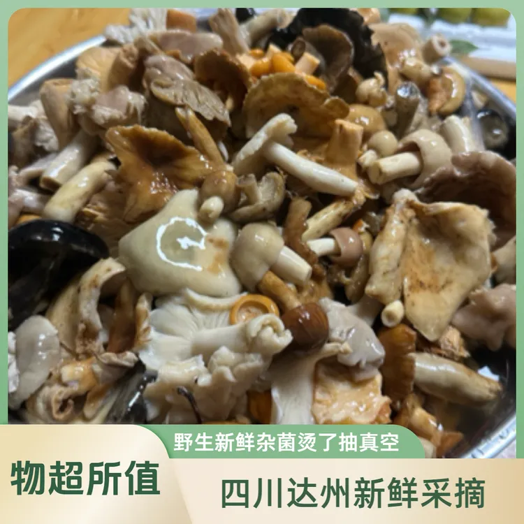四川达州新鲜美味青头菌等野生杂菌抽真空发货可炒菜炖汤