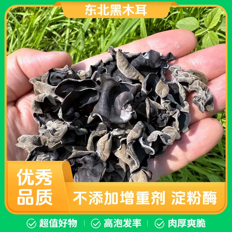 东北黑木耳干货无根肉厚软糯无添加肉质厚实干货特产500g东北深山