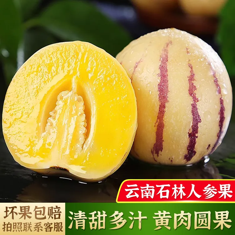【坏果包赔】云南石林人参果黄肉圆果爽口多汁清甜爆汁维生素c水果