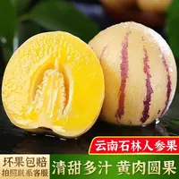 【子祥专属】云南石林人参果黄肉圆果爽口多汁清甜爆汁净重4.5斤