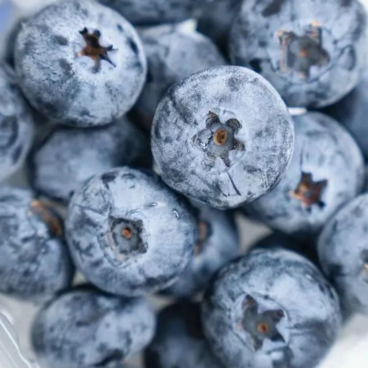 【云南抚仙湖花香L25蓝莓】净重1斤/2.4斤 家庭实惠桶装 顺丰空运