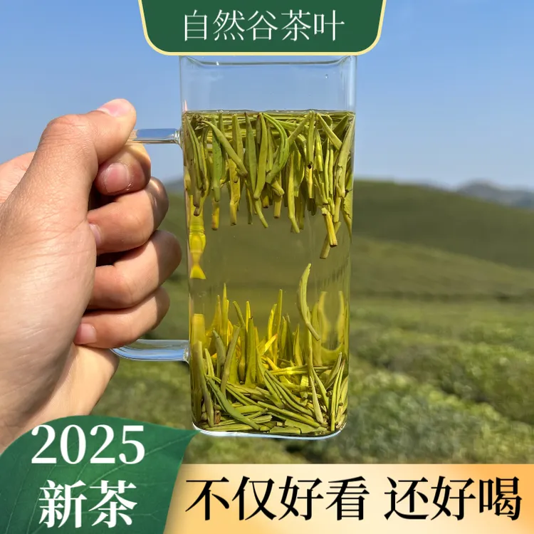 湄潭雀舌茶叶2025新茶正宗明前贵州高山嫩芽春茶手工特级绿茶送礼