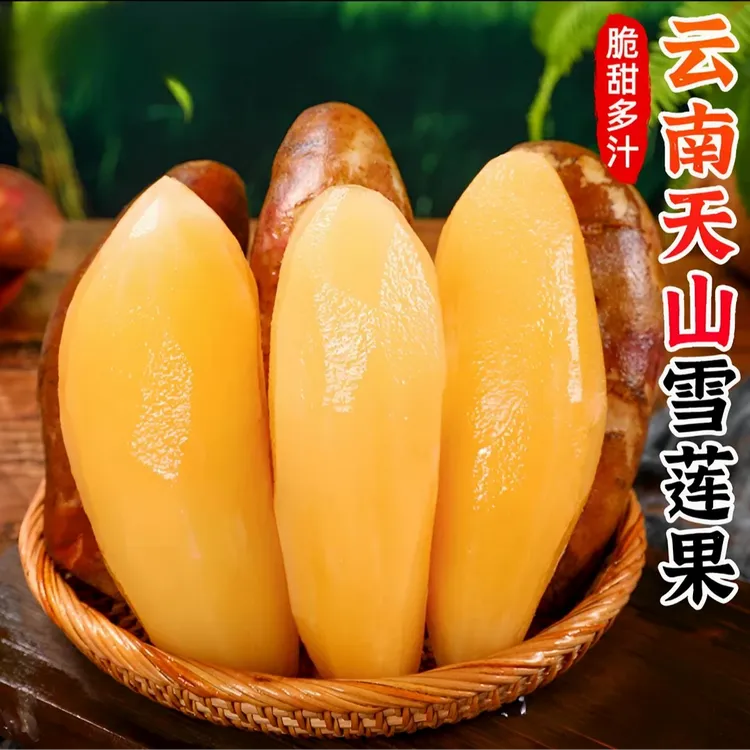 【雪莲果种子】新鲜雪莲果种子天山雪莲果优质种子商品图