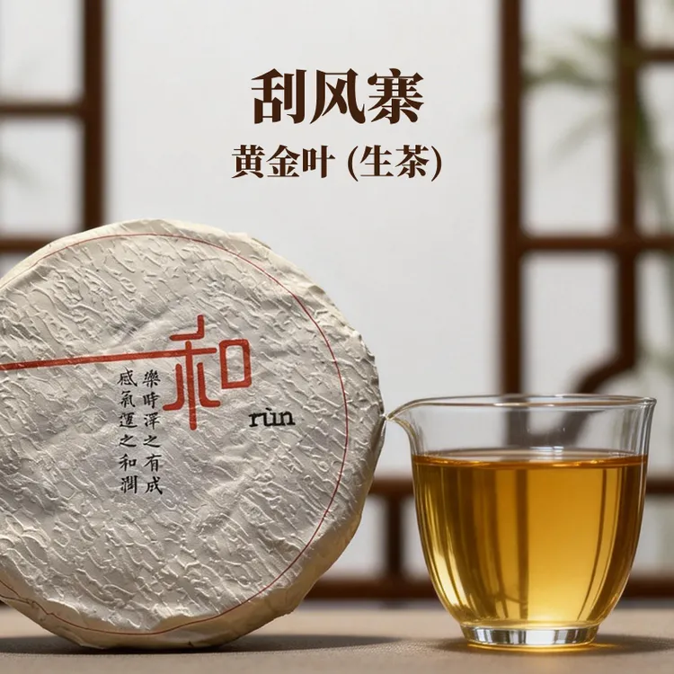 和润 2019年 刮风寨黄金叶茶饼 普洱生茶 生普 200g/饼