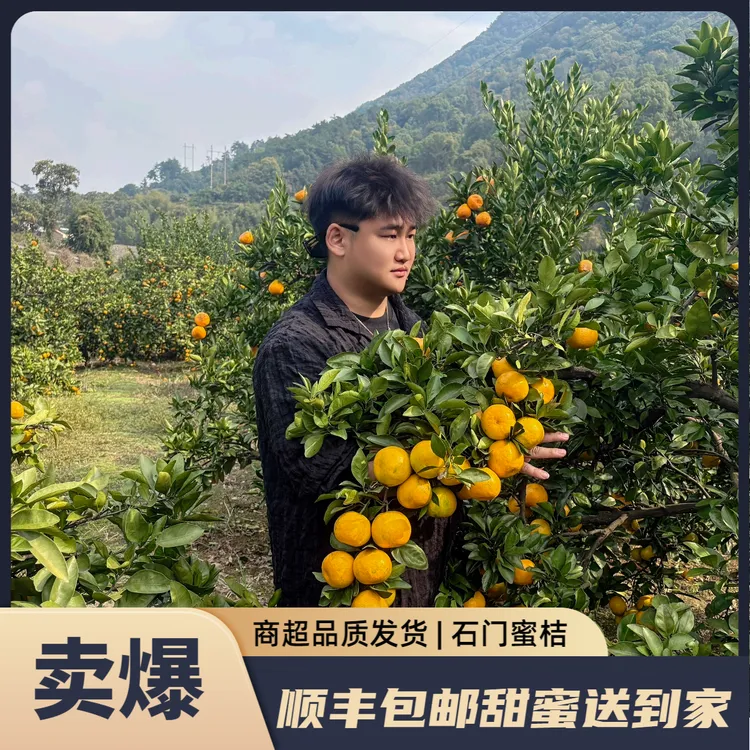 【宇尘专属】石门蜜桔酸甜多汁入口化渣5斤9斤产地直发商超品质