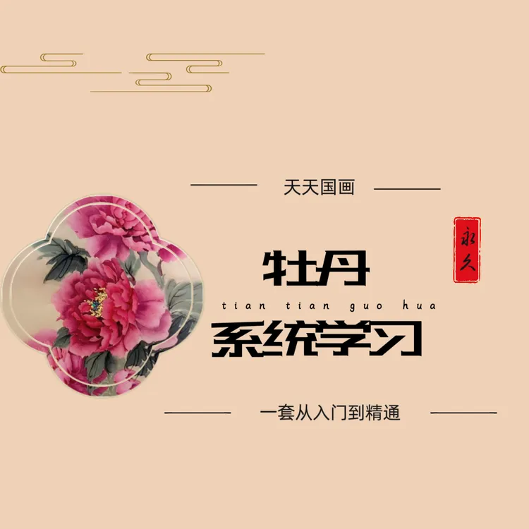 毛毡+系统学习+一年辅导