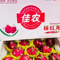 【礼盒装】佳农高端红心火龙果11颗