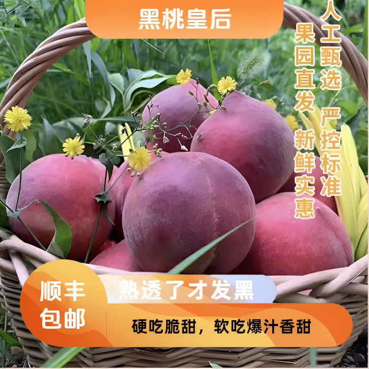 秦岭山黑桃当季新鲜甜桃子硬吃脆甜软吃香甜爆汁4.8-5斤顺丰包邮