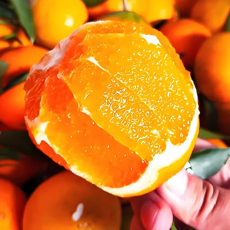 【净重18.5斤】正宗赣南脐橙安远橙新鲜细嫩多汁香甜应季水果手剥橙
