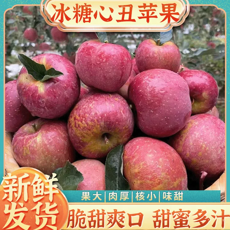 【云南昭通冰糖心丑苹果】脆甜多汁皮薄肉厚当季新鲜水果现摘现发
