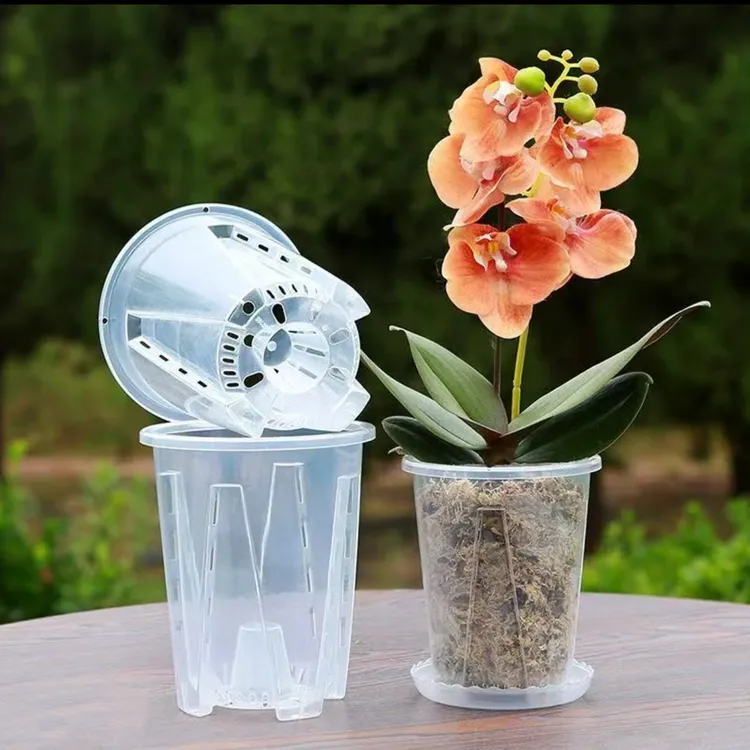 透明控根青山盆空气柱兰花水苔蝴蝶兰专用花盆塑料镂空大号厚花盆