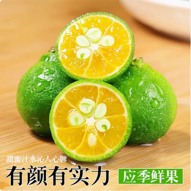 海南正宗青金桔新鲜现摘多汁酸爽水果奶茶店专用鲜果