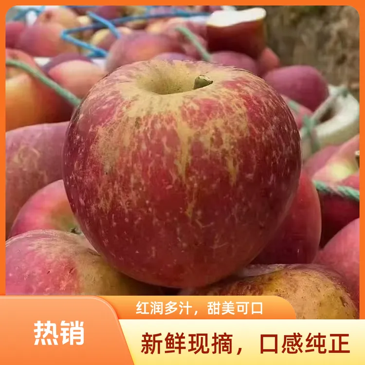 四川大凉山高原丑苹果（不打蜡。不套袋。自然成熟。）