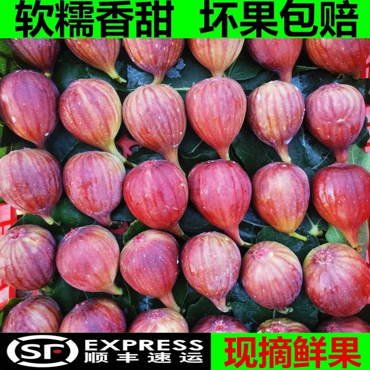 顺丰包邮新鲜无花果当季时令水果软糯香甜现摘现发鲜果整箱批发1