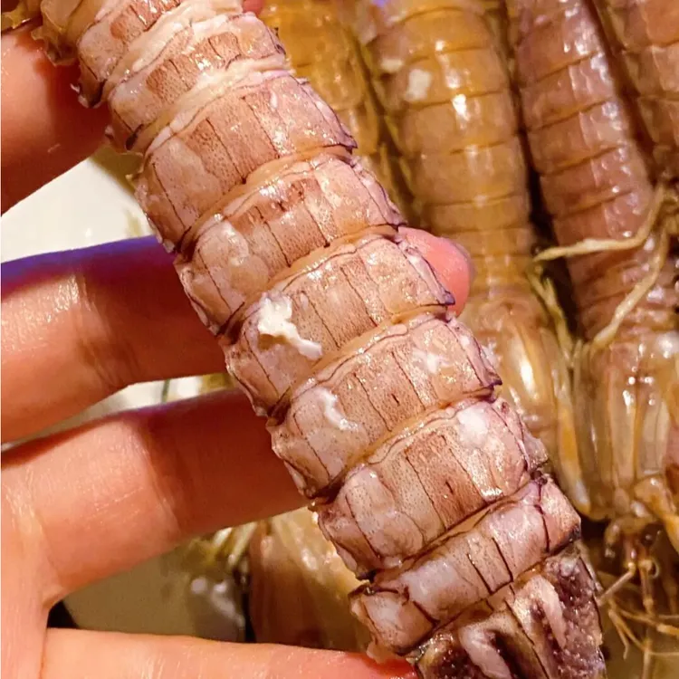 皮皮虾包肥中号公虾婆虾蛄冷冻濑尿虾富贵虾非即食大虾