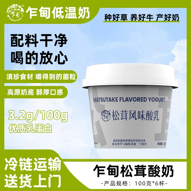 【云南】乍甸松茸菌子发酵乳100g*6盒整箱批发低温酸奶营养饮品