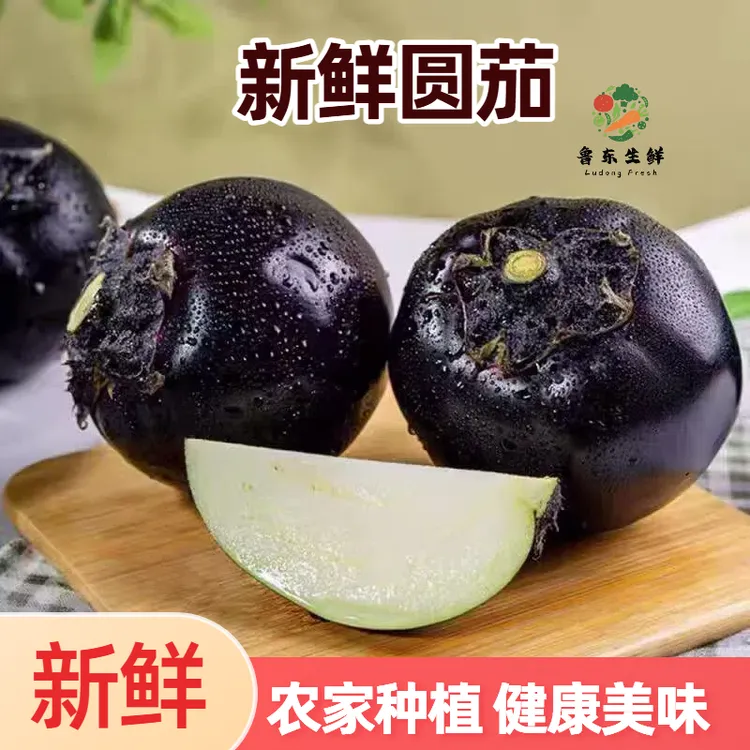 【山东茄子】现摘圆茄农家紫皮圆茄子自然熟当季蔬菜紫黑色茄子