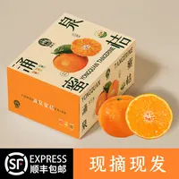 【逢鲜生】涌泉蜜橘现摘现发 新鲜皮薄特早 无核无渣 青皮九甜一酸