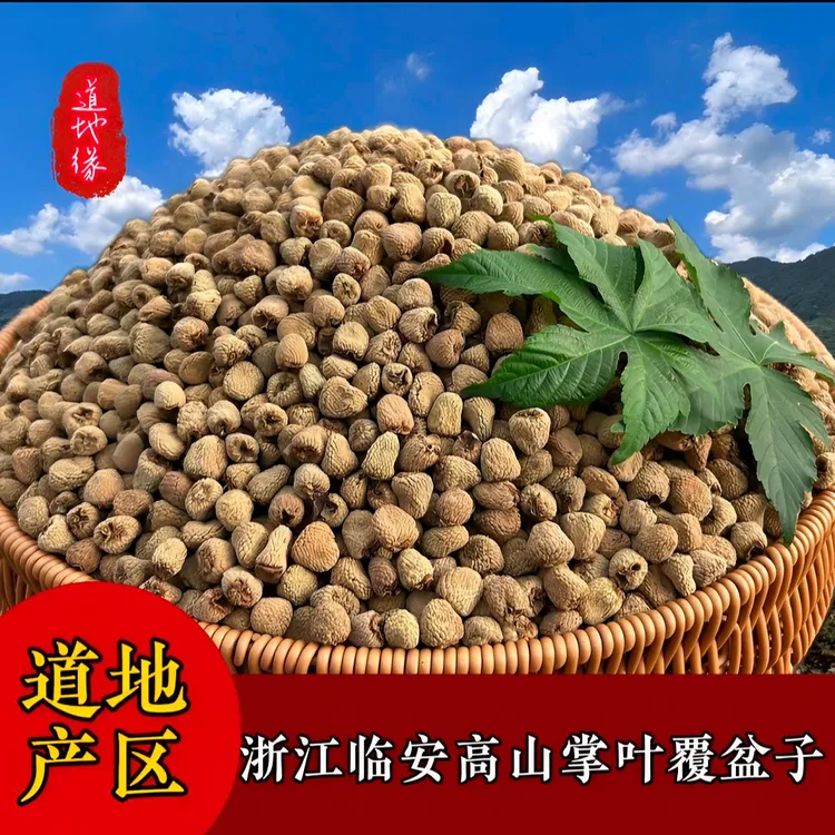 【产地直发】正宗浙江临安高山掌叶覆盆子道地产区饱满自然煮水泡酒