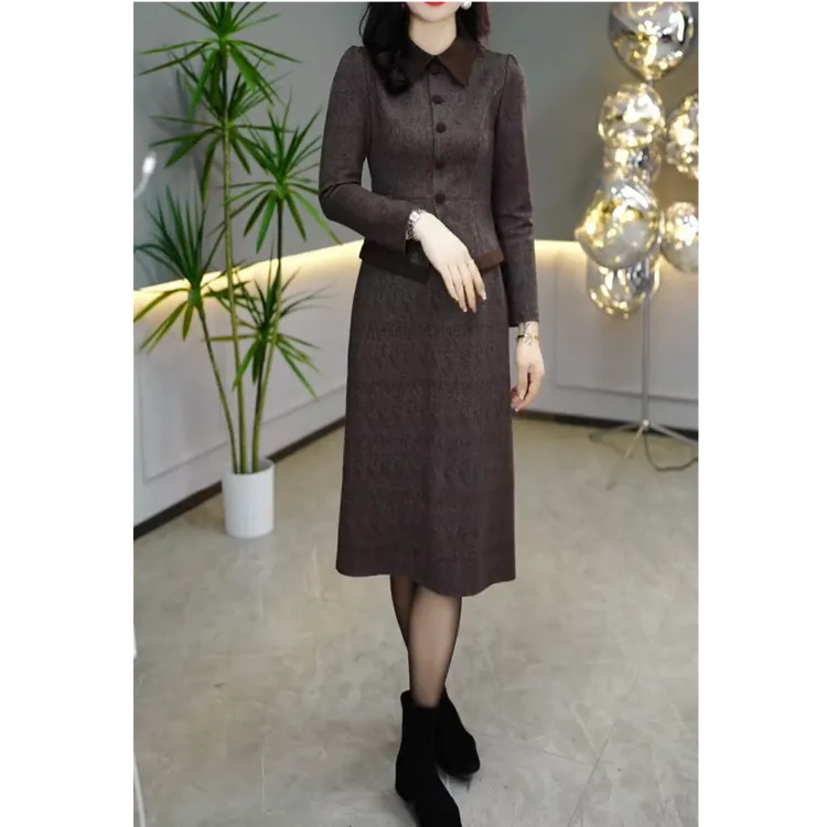 2025秋季新款时尚气质修身显瘦遮肚百搭洋气长袖连衣裙两件套