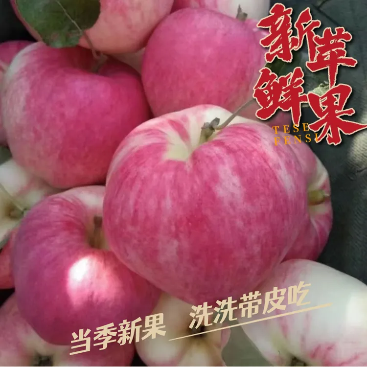 【2025新果】早熟苹果甘肃天水苹果当季新鲜水果高山脆甜苹果