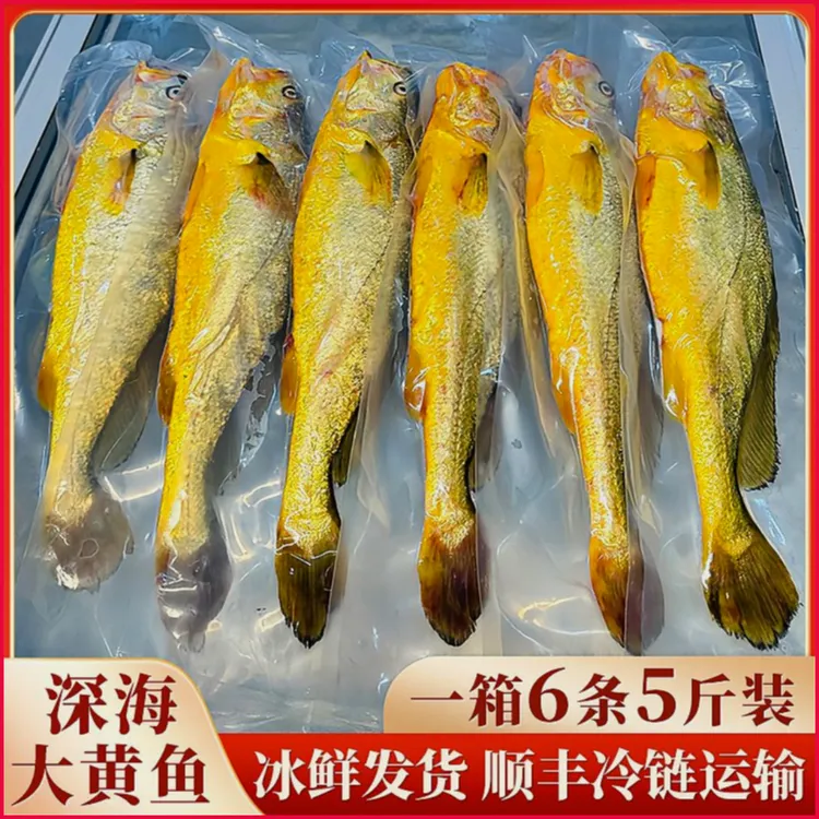 宁德深海大黄鱼，无土腥味无泥腥味，冰鲜发货，顺丰冷链，新鲜到家