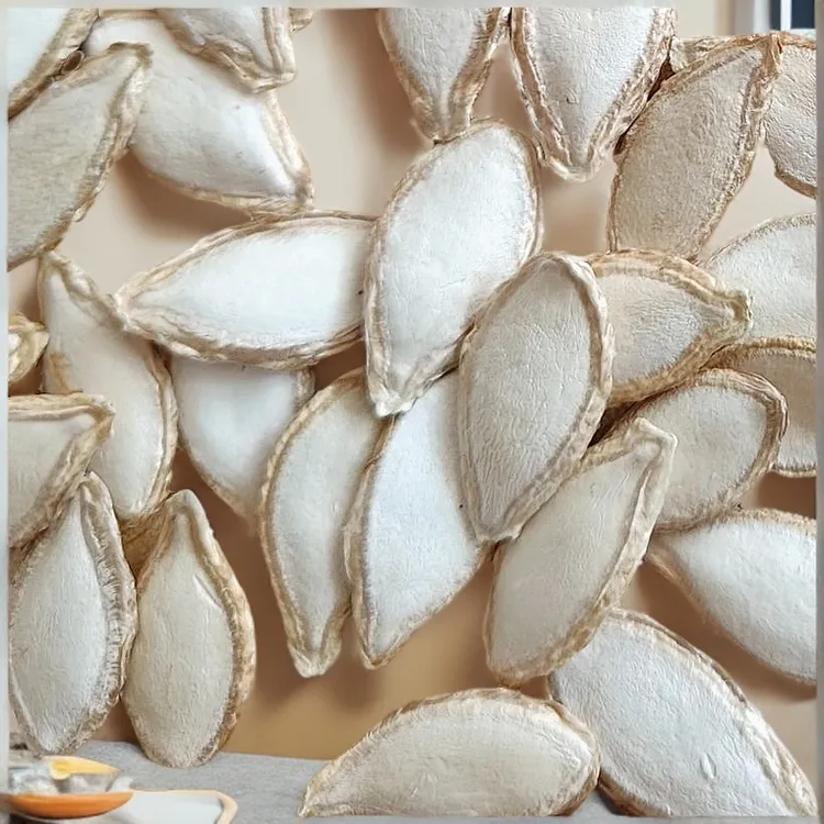 农家毛边带壳生南瓜子自然晒干颗粒饱满原味