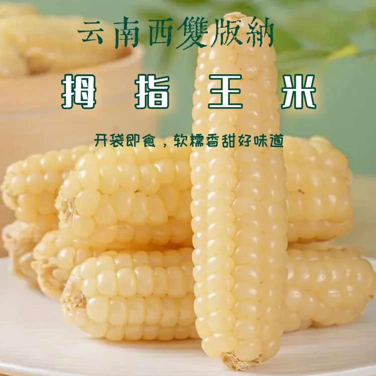 拇指玉米宝宝辅食西双版纳傣家真空甜糯拇指小玉米