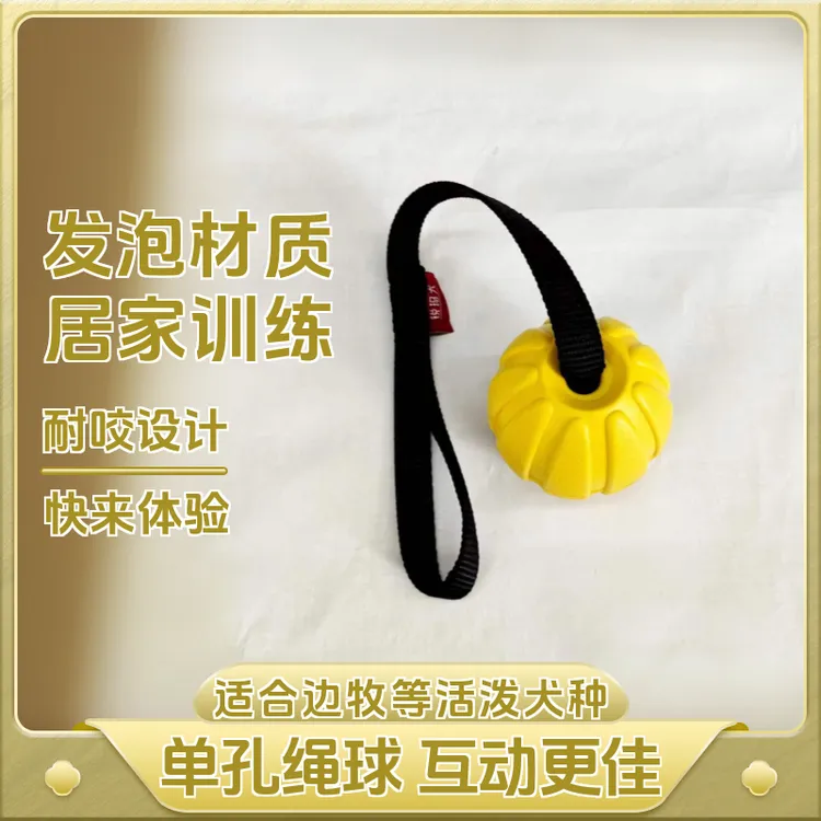 RAMA DOG泡沫球玩具球耐咬训练单孔绳球训犬狗解闷弹力球边牧宠物
