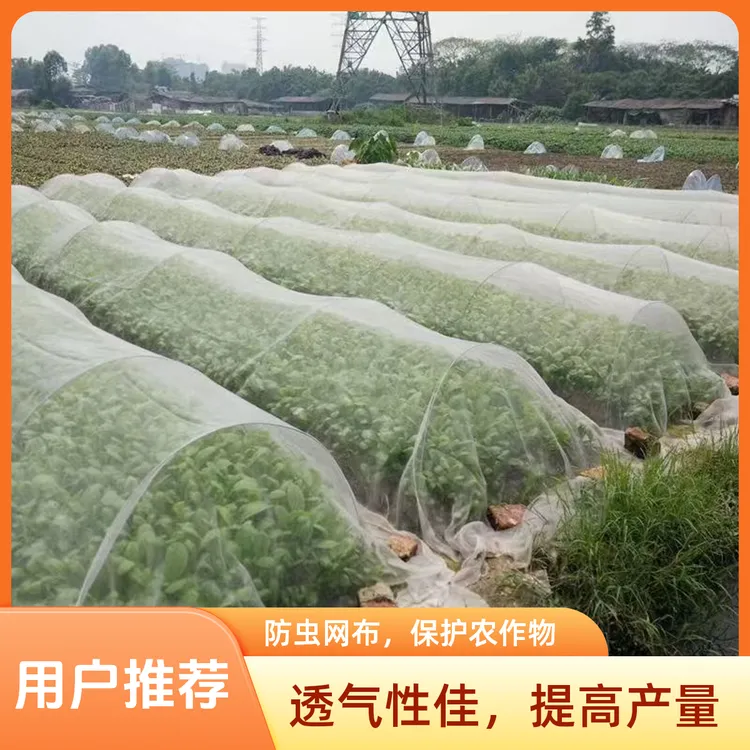 加厚加密网农用蔬菜大棚果园养殖专用防蝇防蚊防虫纱网