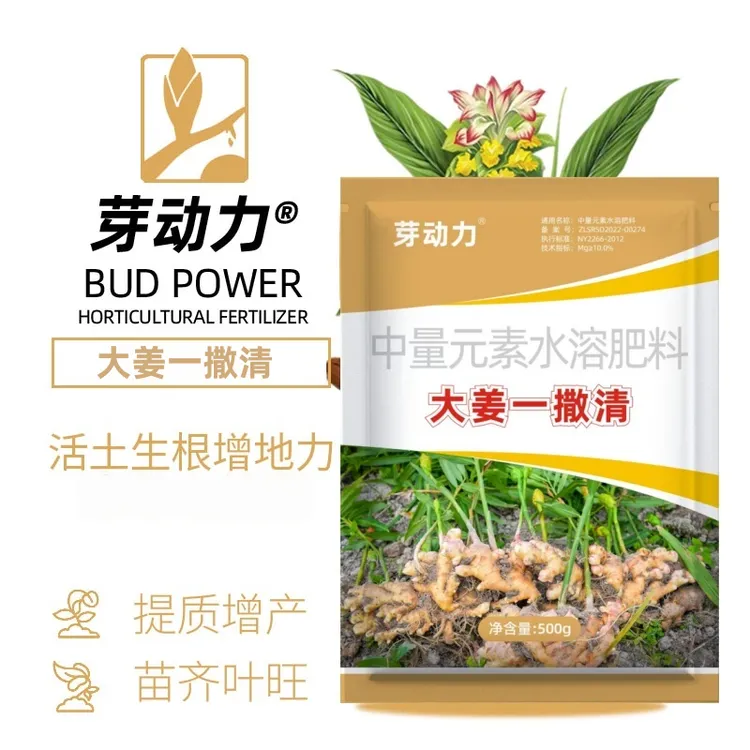 芽动力大姜一撒清预防植物生姜腐烂炭疽叶枯专用中量元素水溶肥料