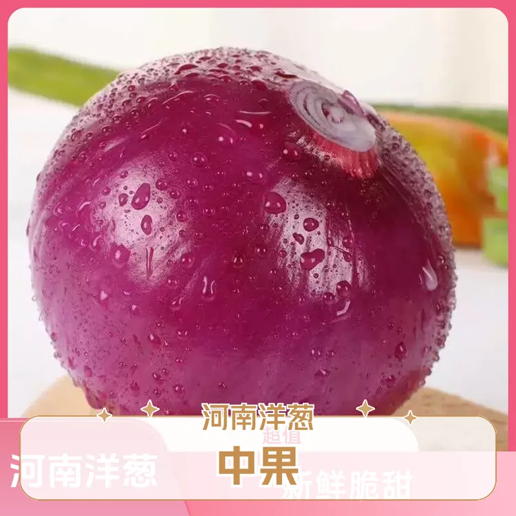 河南洋葱新鲜现挖农家蔬菜       中果