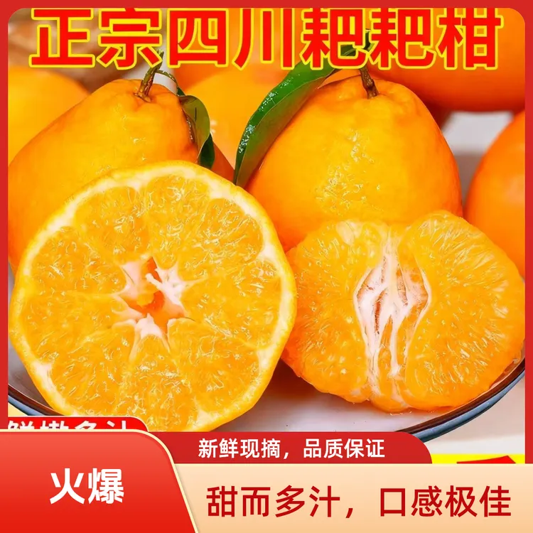【现摘现发】2025年四川春见耙耙柑水果新鲜当季丑桔橘子八怪粑粑柑