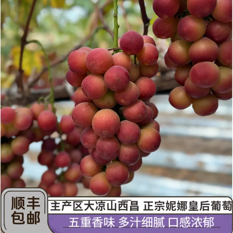 【妮娜皇后葡萄】顺丰4斤带箱果香浓郁葡萄新鲜水果红酒味自然熟