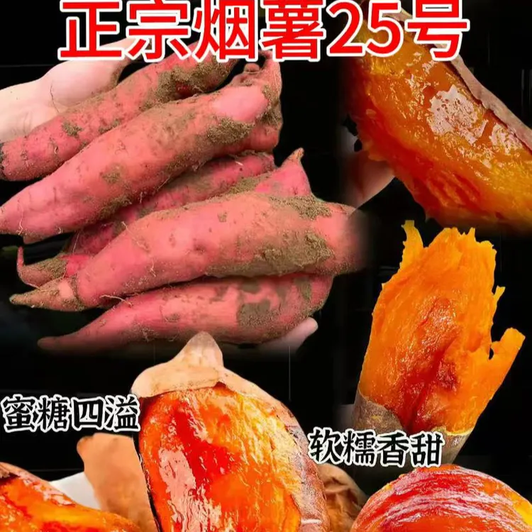 山东正宗烟薯25号 新鲜糖心蜜薯流油香甜可蒸煮烤的地瓜