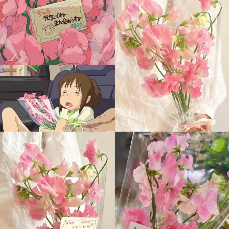 进口香豌豆鲜花小仙女甜美少女心家庭水养瓶插花超仙办公室插花