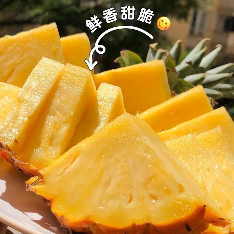 【精品】海南树上熟金钻大果海南果园直发现摘凤梨海南金钻凤梨