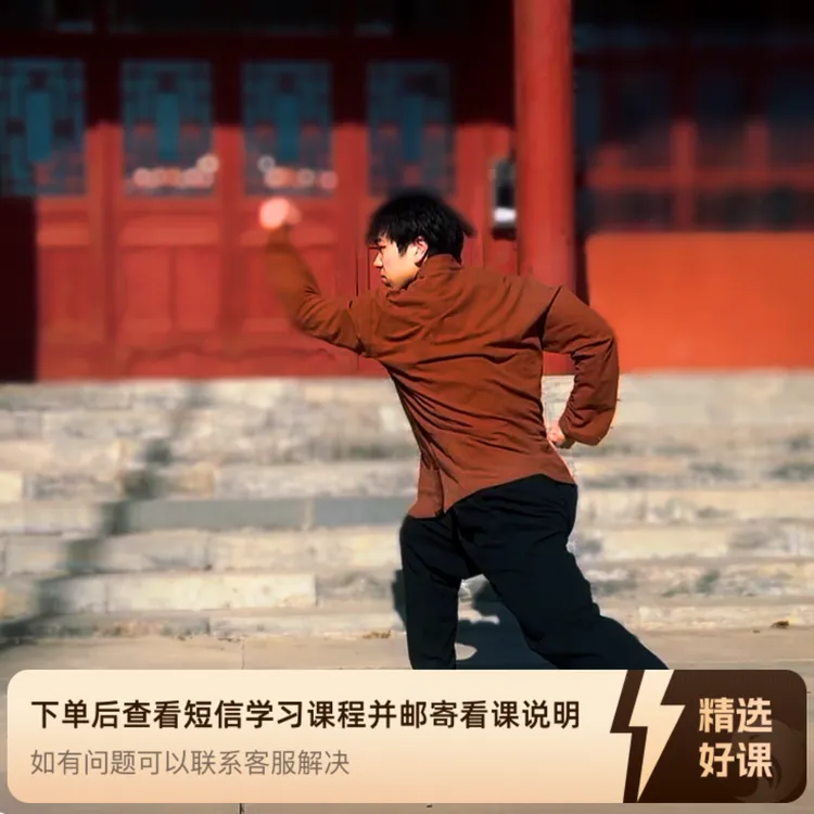 八极拳组合动作教学（留意短信解锁课程）