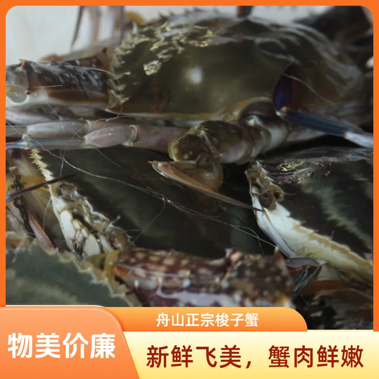 舟山梭子蟹母蟹小娘蟹 【保鲜不保活】2~3两/只 3斤有断脚