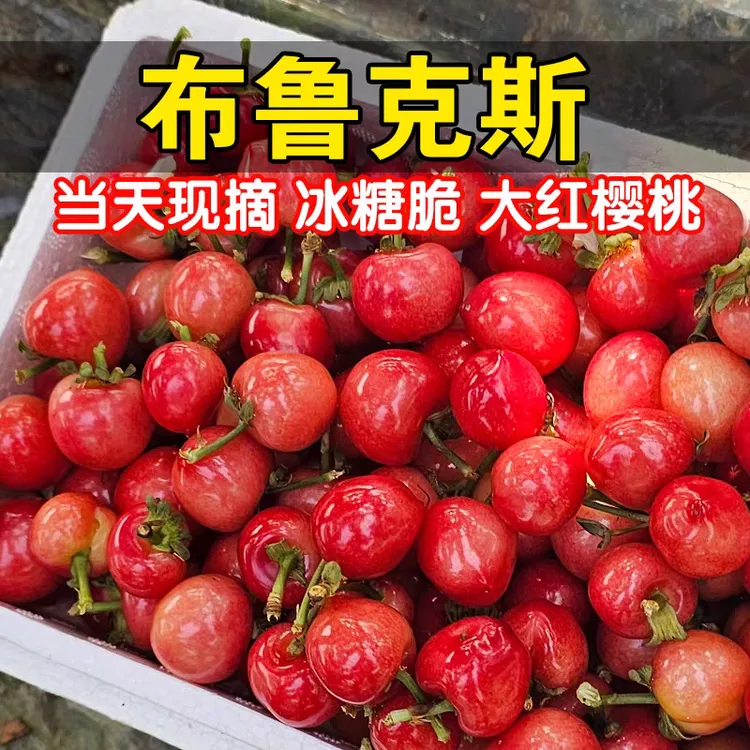 【海奎专属】陕西布鲁克斯樱桃红樱桃脆甜爽口L-J非空运 内附果径卡
