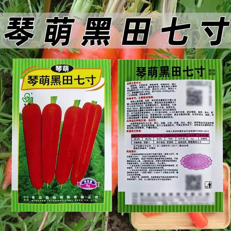 琴萌黑田七寸胡萝卜种子较耐热长势强收尾良好芯较细胡萝卜种子