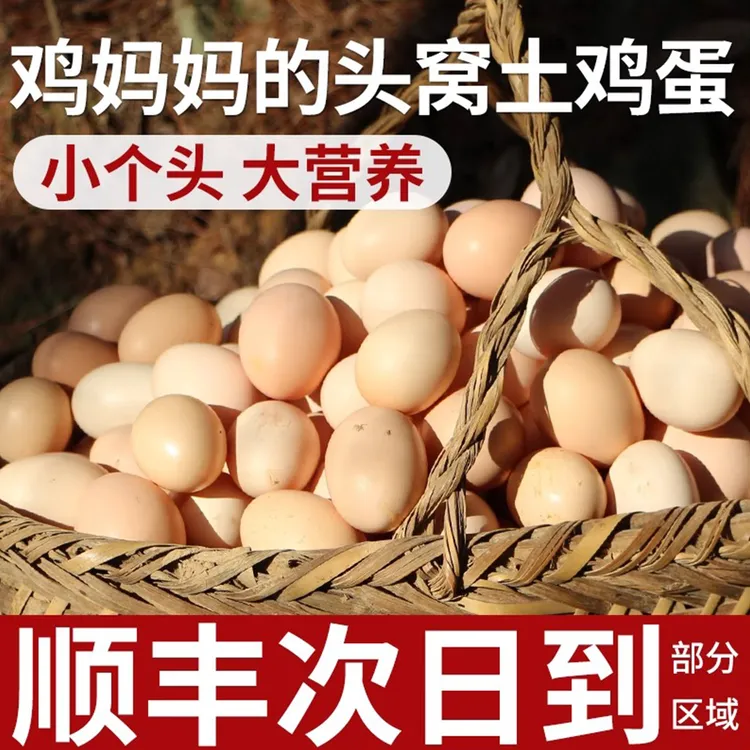 心心念荔枝林下散养新鲜小土鸡蛋正宗谷物喂养营养丰富现捡现发