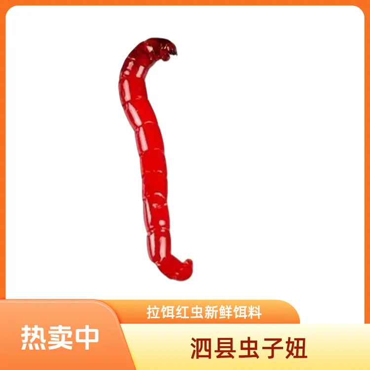 红虫公虫钓鱼挂钩拉饵鱼饵鲫鱼野钓