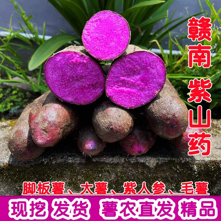 赣南紫山药新鲜3/5斤脚板薯紫参薯江西赣州紫淮山毛薯农产品蔬菜