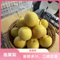 【阿萨琦专享 】正宗鞍山南果梨新鲜采摘当季水果东北特产