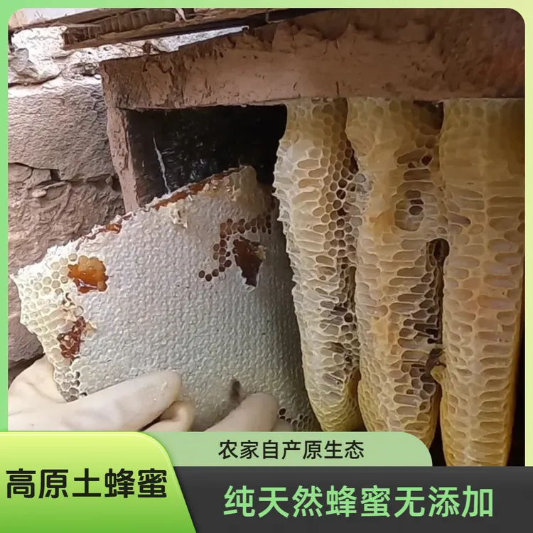【阿斌优选】2025年高原正宗原生态土蜂蜜  一年取一次1斤起拍包邮