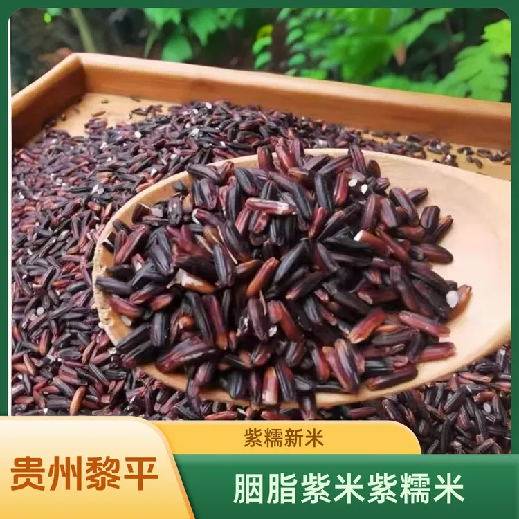 2025胭脂紫米农家米 黎平老品种包粽紫糯米 带胚芽的大米贵州大米