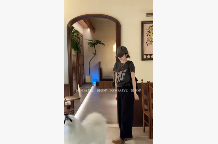 【礼物猫】秋季新款韩系简约基础休闲百搭显瘦T恤