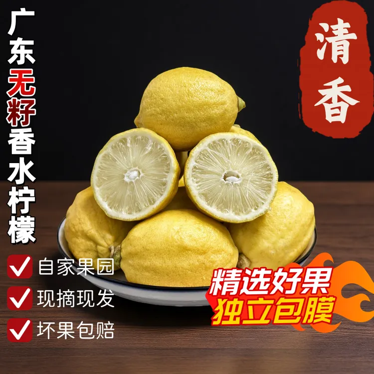 广东无籽香水柠檬黄柠檬当季新鲜鲜果自家果园现摘现发奶茶店专用