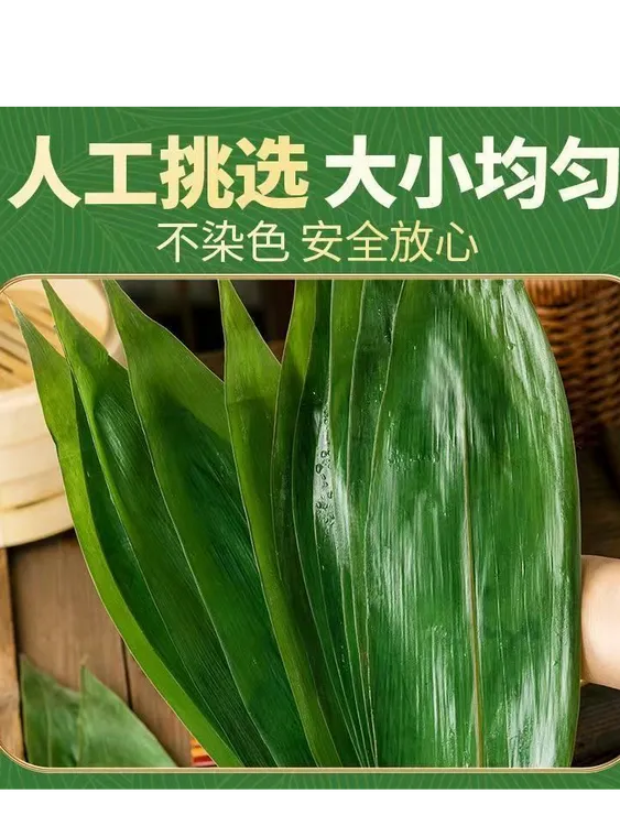 皖南高山野生粽叶箬叶.竹子叶新鲜现采